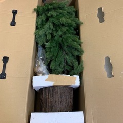 生木風クリスマスツリー　150cmの画像