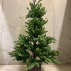 生木風クリスマスツリー　150cm