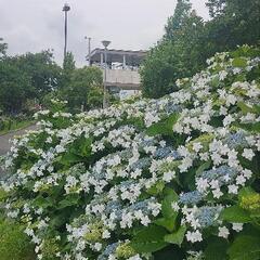 カメラ仲間まだまだ募集‼ - 友達