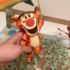 ディズニープーメリの画像