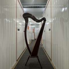 AOYAMAアイリッシュハープ 本体