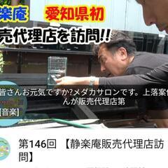めだかサロン様の動画に出演‼️♢名古屋改良メダカ直売所♢訪問動画♢