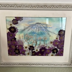 押し花の画像