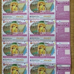 東京サマーランド 株主優待１Dayパスの画像