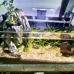 水槽45cmセット
