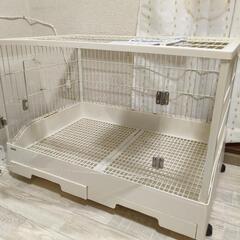 うさぎケージ