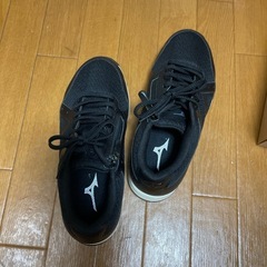 MIZUNOスニーカーの画像