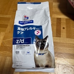猫の餌
