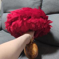 ウリウリ　お値下します！の画像