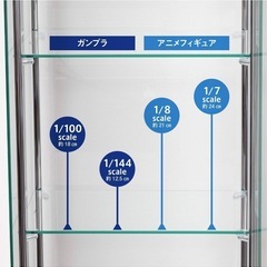 コレクションケースの画像