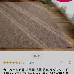 ラグ