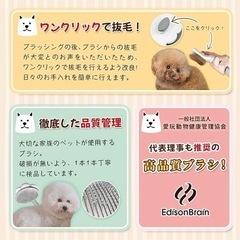 在庫一掃セール‼️ペット用 マッサージブラシ ワンプッシュ式 犬・猫兼用 グルーミングブラシの画像