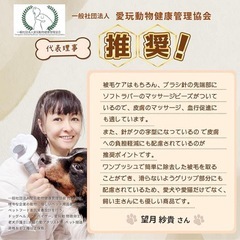在庫一掃セール‼️ペット用 マッサージブラシ ワンプッシュ式 犬・猫兼用 グルーミングブラシの画像