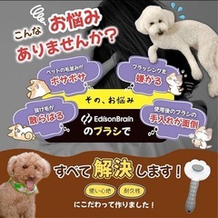 在庫一掃セール‼️ペット用 マッサージブラシ ワンプッシュ式 犬・猫兼用 グルーミングブラシの画像
