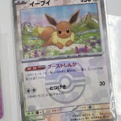 ポケモンカード.マスターボール