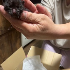 お問い合わせ多数の為、一時募集中断させていただきます。