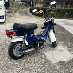 お話し中　ホンダ　シャリー　50ccの画像