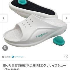 【新品未使用】ナガラボ　座ったままで運動不足解消！エクササイズシューズ　サイズLL(27.5〜29.0cm)の画像