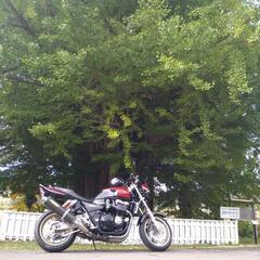 値下げCB1300 SC40の画像