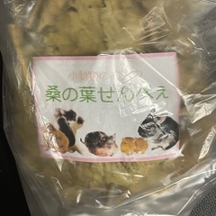【KING CLUB】お得な小動物用品10点セット‼️1名様限定価格！の画像