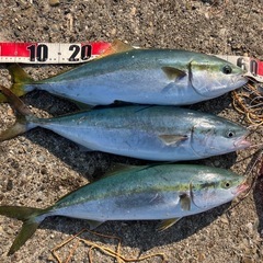 海釣り　バス釣り　友達募集　山形　宮城　