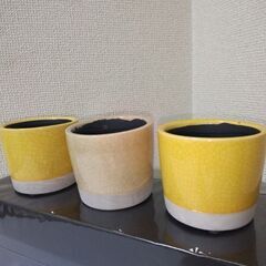未使用　DULTON　植木鉢３個セット（サボテン等の観葉植物）３...