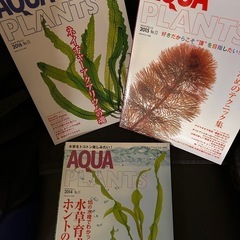  AQUA PLANTS （アクアプランツ）No.11〜13 水草水槽 アクアリウム テラリウムの画像