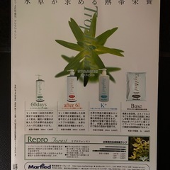 AQUA PLANTS （アクアプランツ）No.02  水草水槽アクアリウムの画像