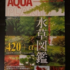 AQUA PLANTS （アクアプランツ）No.10  水草水槽...