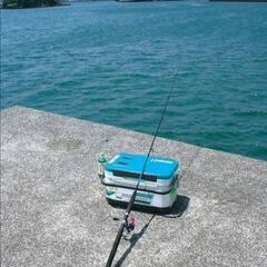 🎣釣り🎣教えてください。