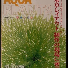 AQUA PLANTS （アクアプランツ）No.08  水草水槽...