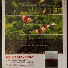 AQUA PLANTS （アクアプランツ）No.08  水草水槽アクアリウムの画像