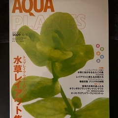 AQUA PLANTS （アクアプランツ）No.06  水草水槽...