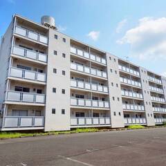 ビレッジハウス逆川1号棟 (401号室)