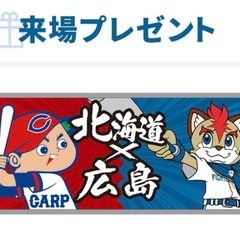 北海道日本ハムファイターズ（記念品/関連グッズ）のフリマ