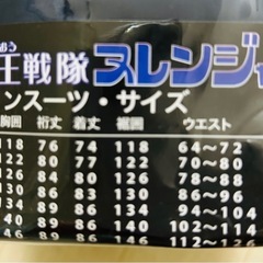 雨王戦隊　ヌレンジヤー　3Lの画像