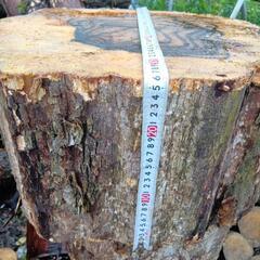 黒柿　6月伐採品　重さ40kg位　その1の画像