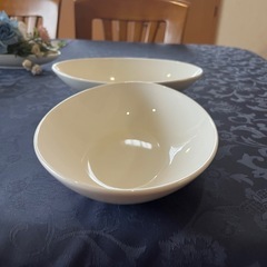 楕円形の陶器製カレー皿2個セットの画像