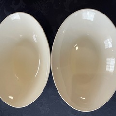 楕円形の陶器製カレー皿2個セット