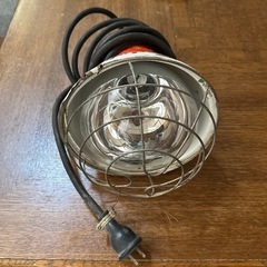 野外投光用アイランプ 　電球RF110V450WHC