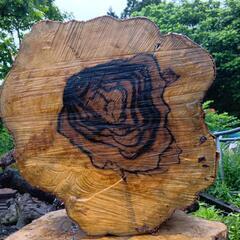 黒柿　6月伐採品　重さ40kg位　その1の画像