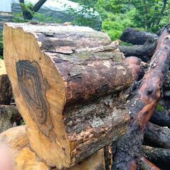 黒柿　6月伐採品　重さ40kg位　その1の画像