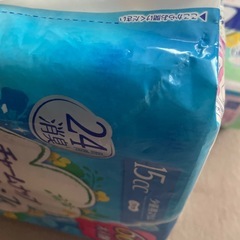 【15cc】チャームナップ 吸水さらフィ 少量用 羽なし 15cc  訳あり　19cm 2個セットの画像