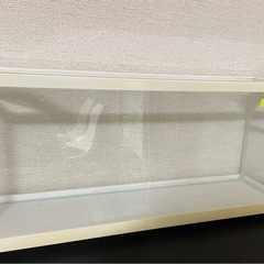 水槽