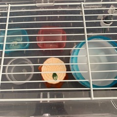 ハムスター 飼育用品の画像