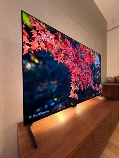 SONY 65型 2021年製 BRAVIA 4K有機EL XRJ-65A90J
