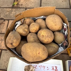 新ジャガイモ、新玉ねぎセットの画像