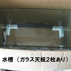水槽と釣り具