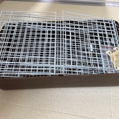 小動物用グッズの画像