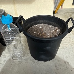 値下げしました！　
植木鉢の画像